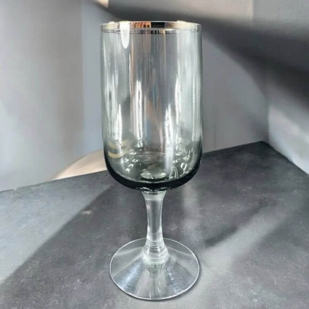 Fostoria Cherish Smoke Grey and Platinum Trim Set 2 Drinking Glasses Cups‎ Glass